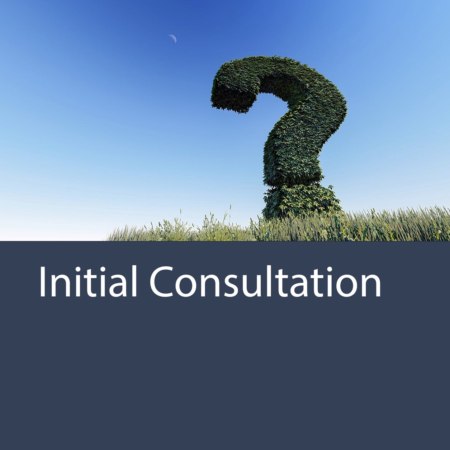 Initial Consultation (30 minutes)