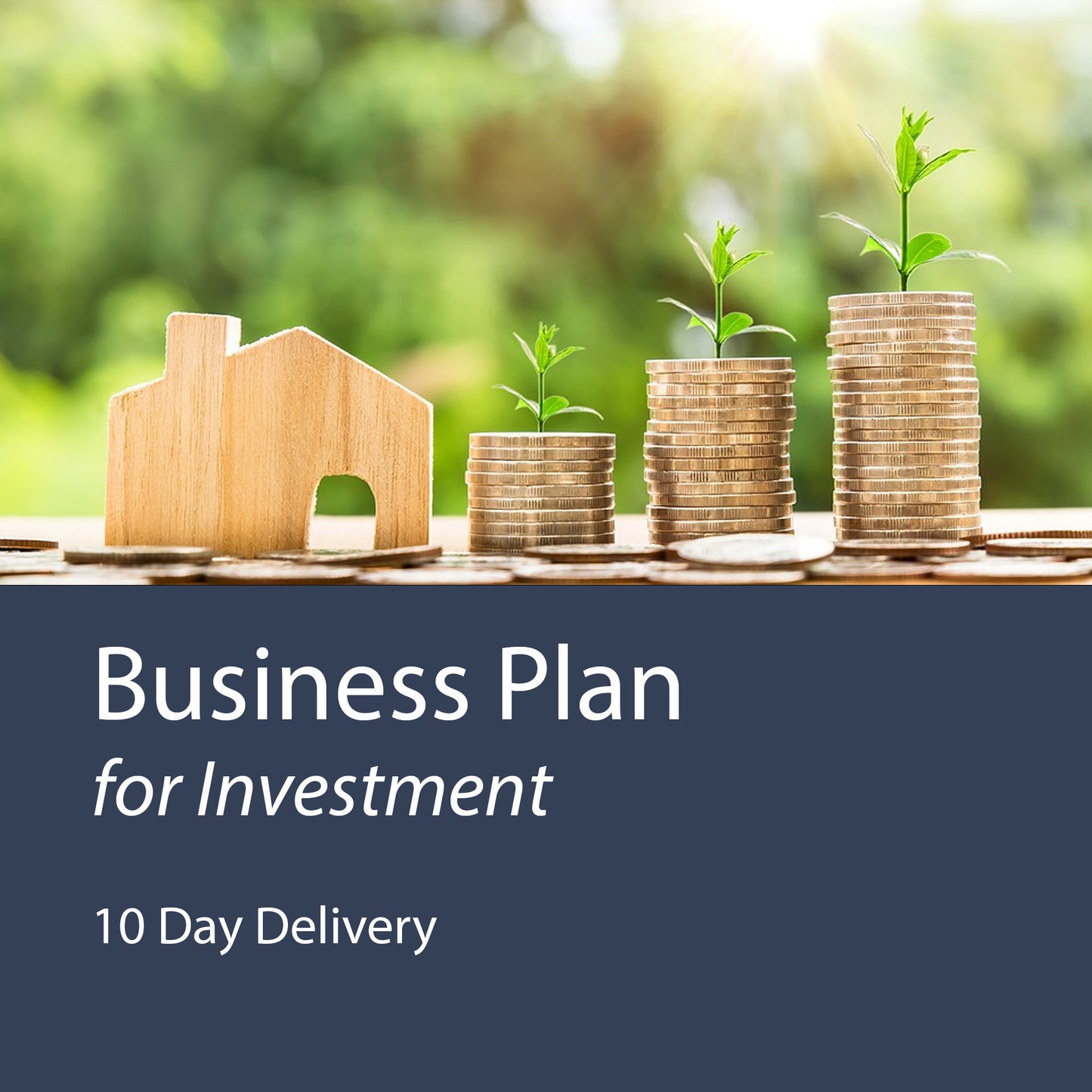 Business Plan for Investment