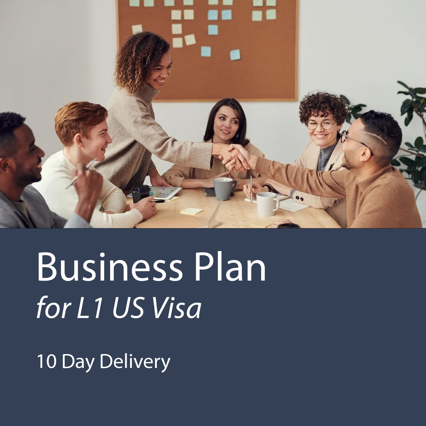 USA Visa Business Plan - L1 Visa