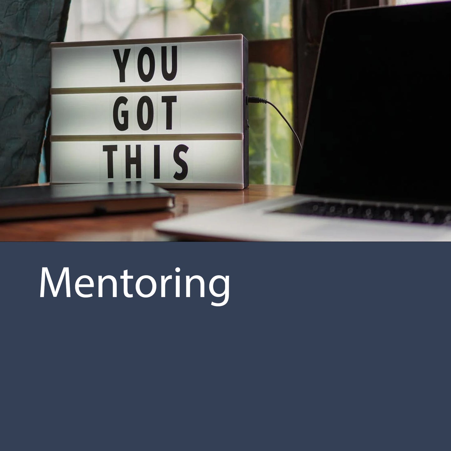 Mentoring - One Hour