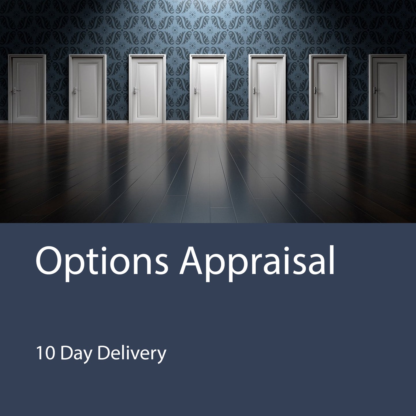 Options Appraisal