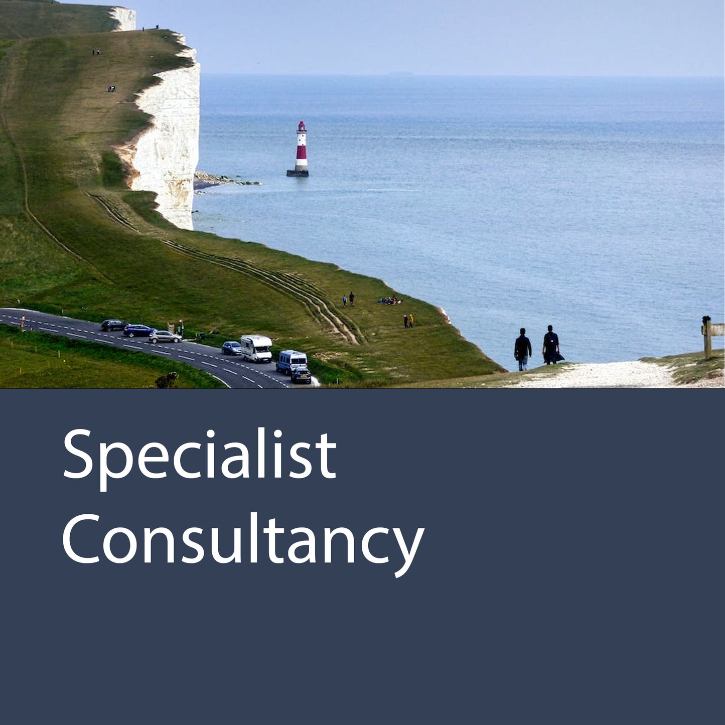 Specialist Consultancy (Per Day)