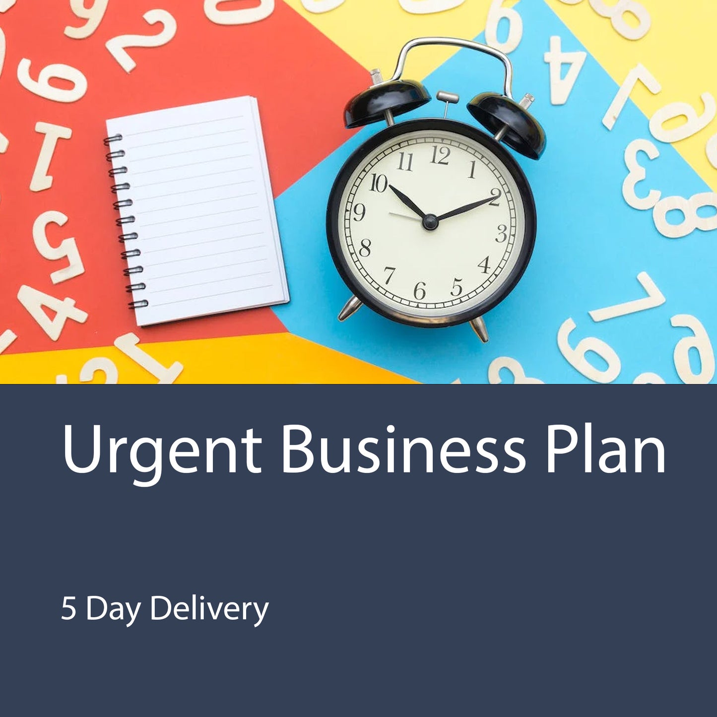 Urgent Business Plan