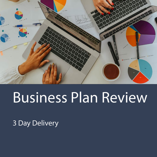 Business Plan Review