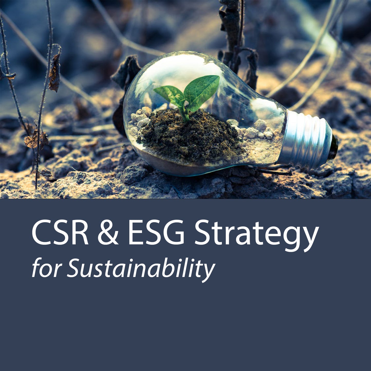 Sustainability, CSR & EGR Strategy