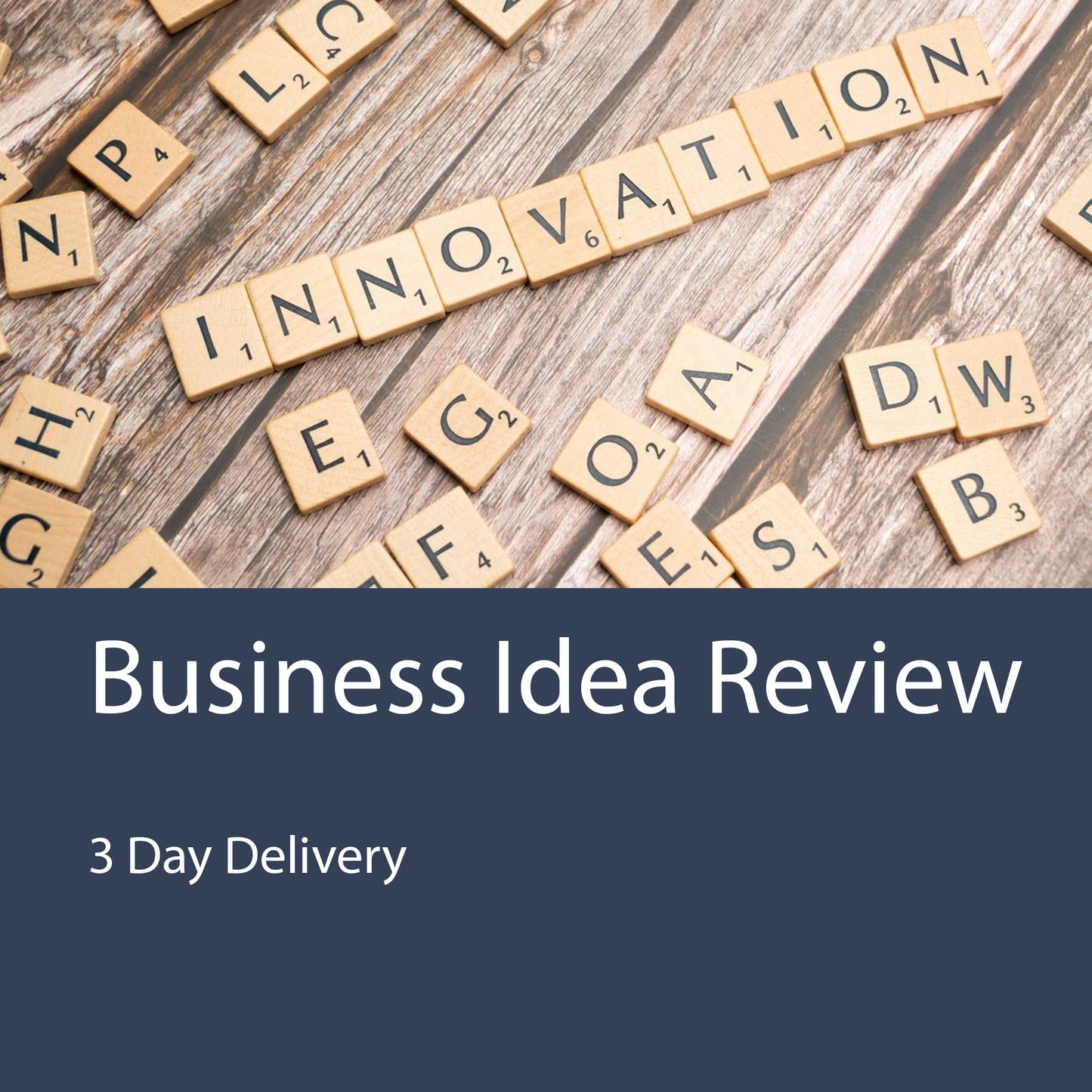 Business Plan Idea Review