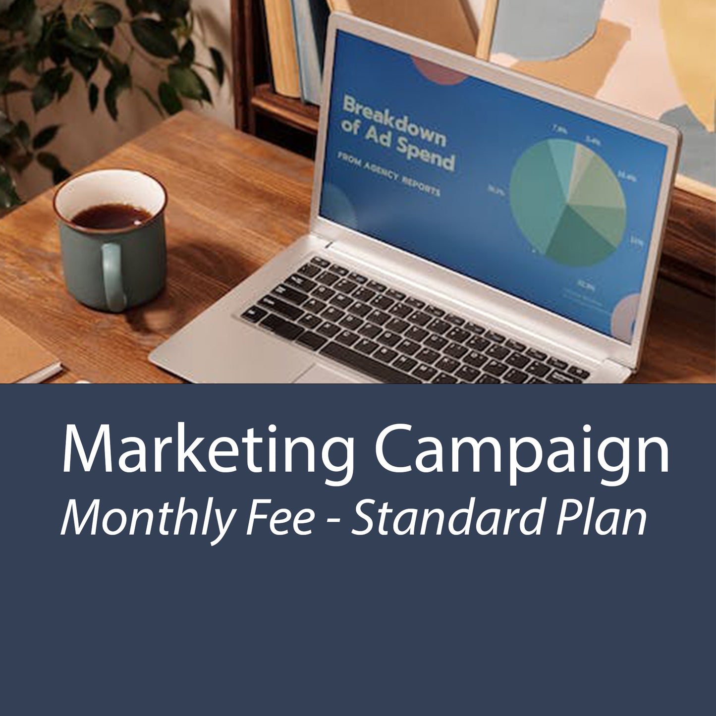 Marketing Campaign Management - Standard