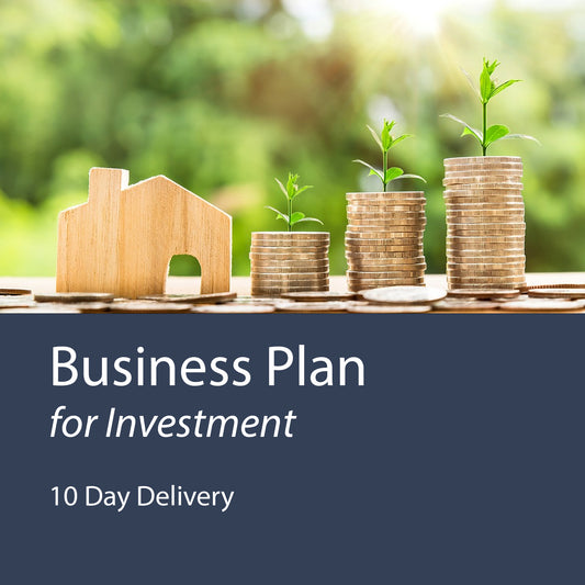 Business Plan for Investment